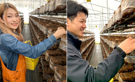 しいたけ嫌いも食べられる！！ 雫石町産「生しいたけ」1㎏  椎茸 きのこ 国産 臭み少なめ