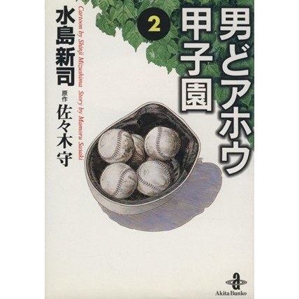 男どアホウ甲子園（文庫版）(２) 秋田文庫／水島新司(著者)