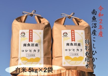 南魚沼産コシヒカリ特別栽培米　白米　10kg