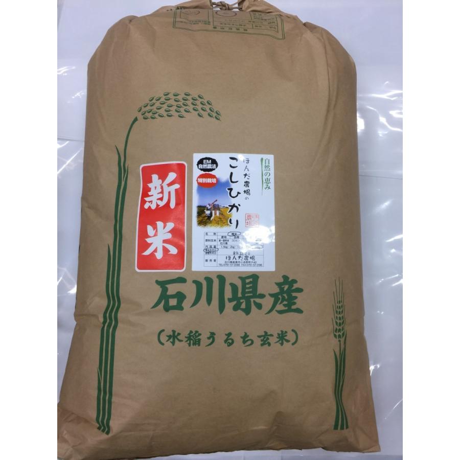 令和5年産 新米 自然農法特別栽培米こしひかり白米 30kg  「自然の恵み」 加賀百万石