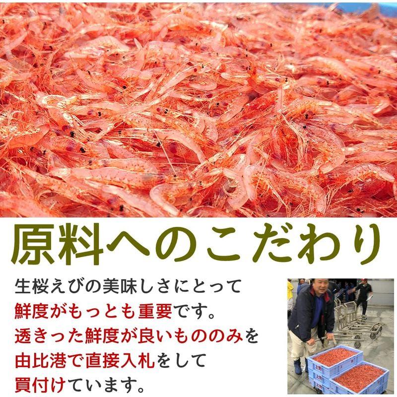 食品 兼上 生桜えび 100g×5袋セット 駿河湾産 由比 静岡 冷凍 さくらえび サクラエビ カネジョウ