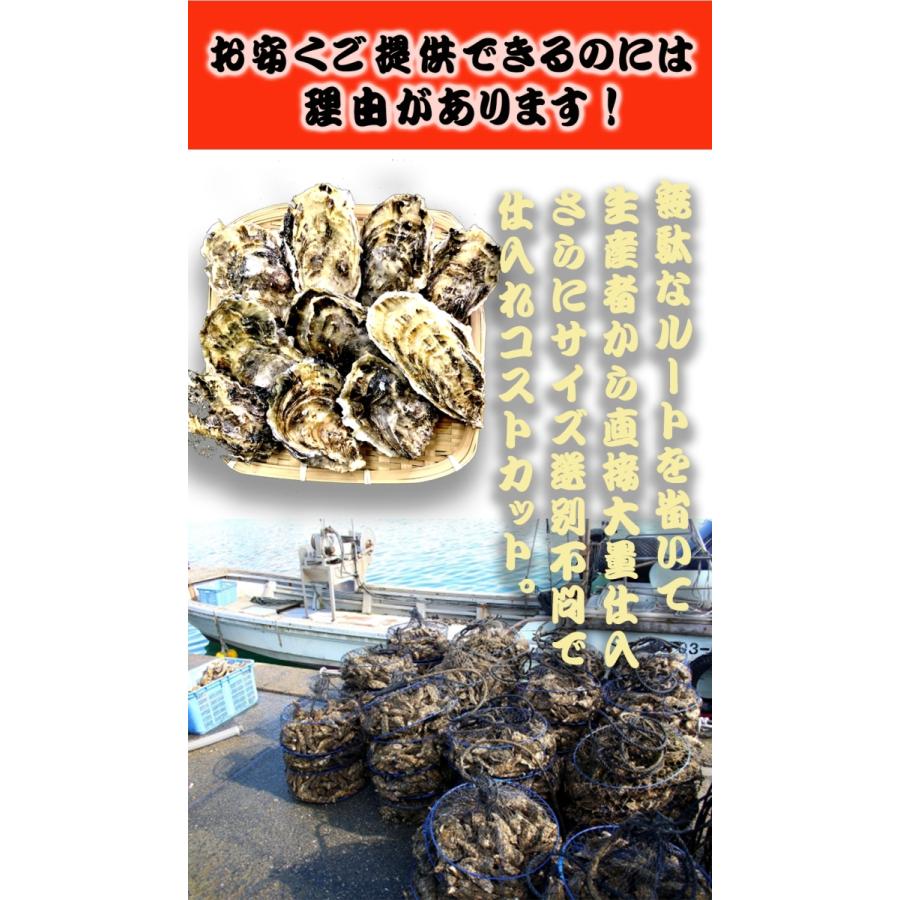 広島産 殻付き牡蠣 訳あり 3キロ(約30個) カンカン焼き カキ かき 宮島 BBQ ナイフ 軍手付 ギフト 取り寄せ