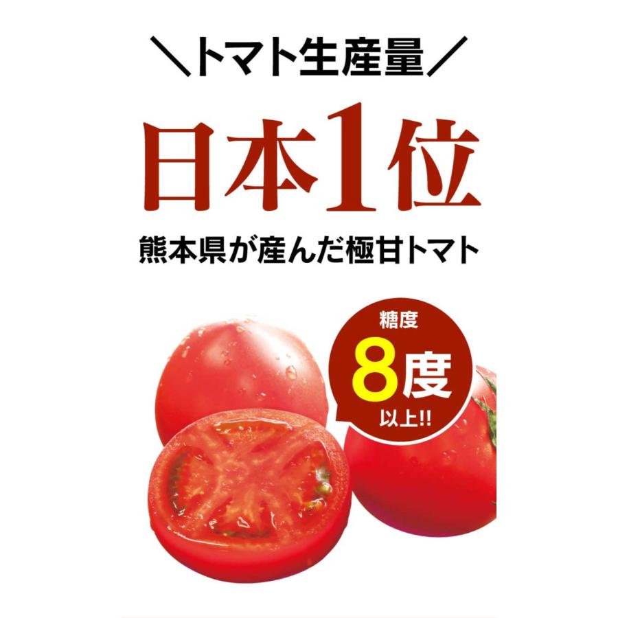 熊本産 塩トマト フルーツトマト 1kg 9〜12玉 送料無料 甘いトマト ＜12月中旬より出荷予定＞ 塩とまと 高糖度 農家直送 大嶌屋（おおしまや）