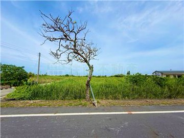 東石正12米路農地｜嘉義縣東石鄉栗子崙段中洲小段