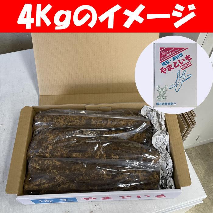 ヤマトイモ 4Kg A品 ちょっと訳あり