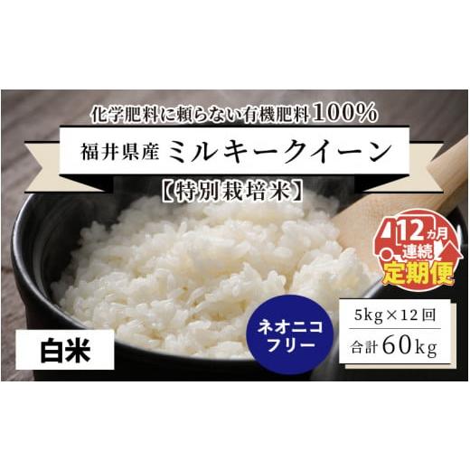 ふるさと納税 福井県 坂井市 福井県産 ミルキークイーン5kg×12回 計60kg 〜化学肥料にたよらない100%の…