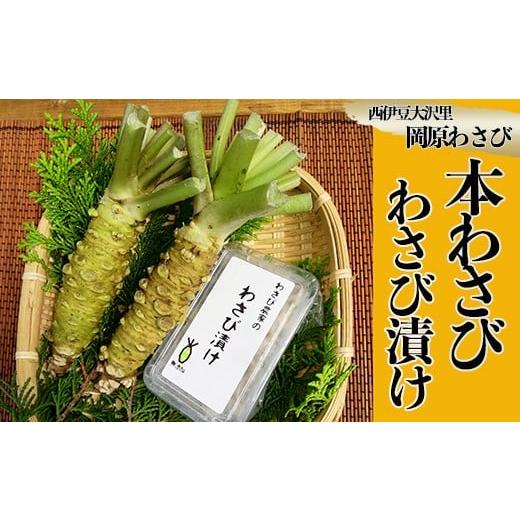 ふるさと納税 静岡県 西伊豆町 西伊豆町の本わさび・わさびづけセット