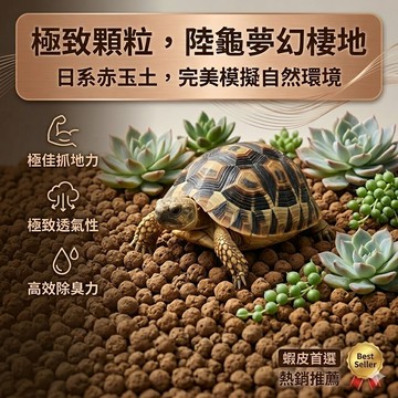 陸龜驛站｜赤玉土墊材 底材 爬蟲墊料 陸龜 守宮 鬆獅蜥 蜥蜴 斥玉土