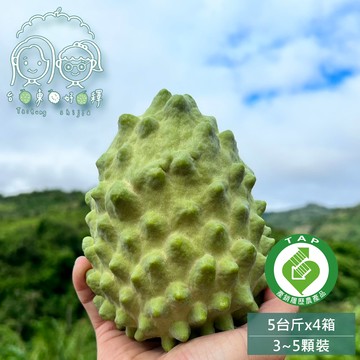 預購【台東好釋】正100%台東 產銷履歷鳳梨釋迦5台斤x4箱(大果粒約3~5顆/箱)