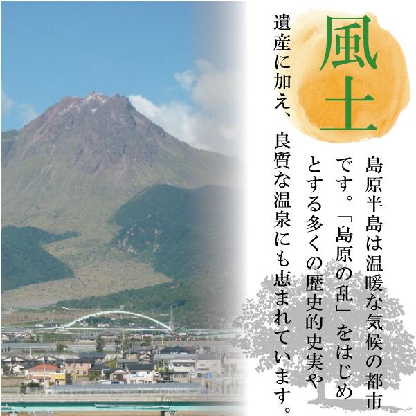 ＼ポイント5倍／ 島原手延べそうめん 9キロ 180束 訳あり 地域限定あすつく 素麺 流しそうめん にゅうめん 防災食 避難食 保存食 お得用 業務用 手延べ そうめん