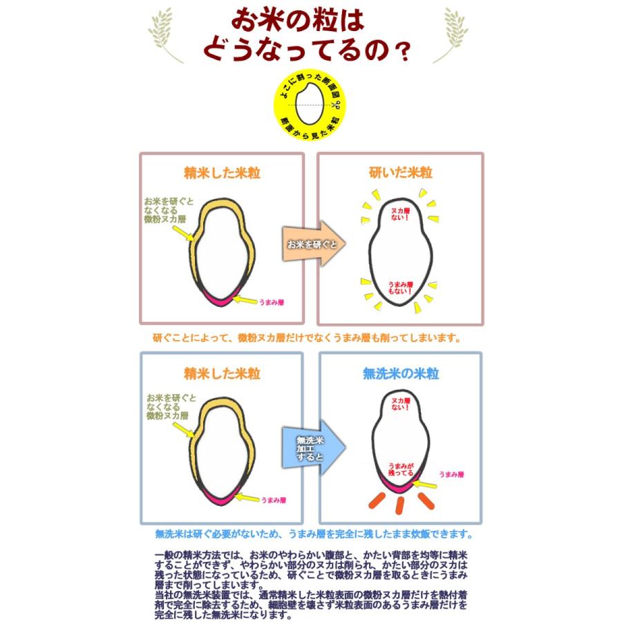 令和５年産新米 送料無料 5kg 九州 宮崎県産「コシヒカリ」5kg×1個 無洗米