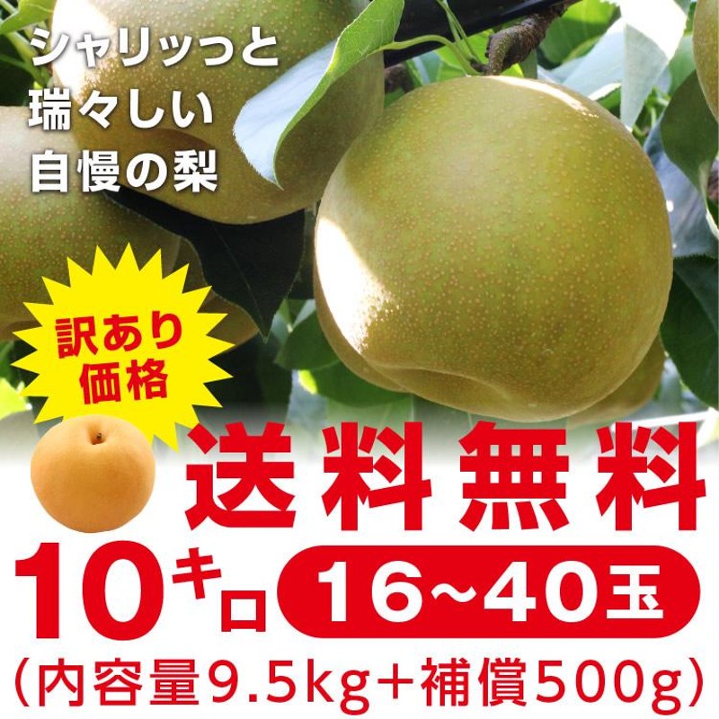 訳あり 梨 10kg 送料無料 長野県産 選べる品種！ 幸水 豊水 二十世紀