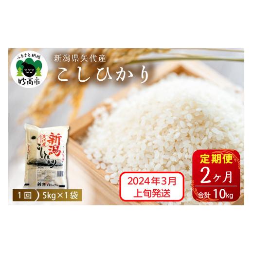 ふるさと納税 新潟県 妙高市 新潟県矢代産コシヒカリ5kg×2回（計10kg）