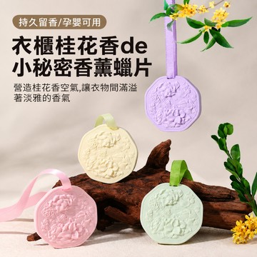 衣櫃香氛片 擴香石 芳香磚 香氛吊飾 鞋櫃除臭 室內芳香 吊掛香氛 抽屜芳香片 臥室擴香 空間芳香