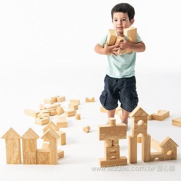 weplay身體潛能開發創作互動木紋積木-68片 atg-kc2802-068