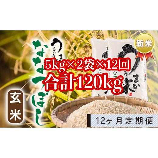 ふるさと納税 北海道 雨竜町 うりゅう米「ななつぼし（玄米）」5kg×2袋 定期便！毎月1回・計12回お届け