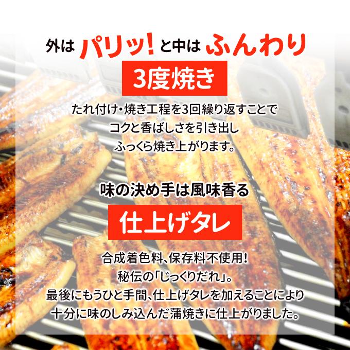 鹿児島産 新 超特大 国産 うなぎ蒲焼き 約250g×3尾 送料無料 海鮮 プレゼント グルメ ギフト