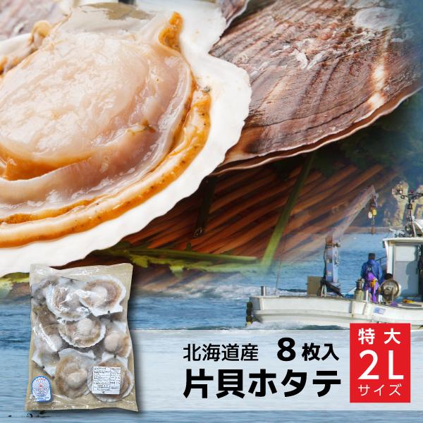 片貝ホタテ 北海道 噴火湾産 ２L 8枚入り(加熱用) ほたて バーベキュー 貝柱  BBQ 送料無料 クール冷凍便