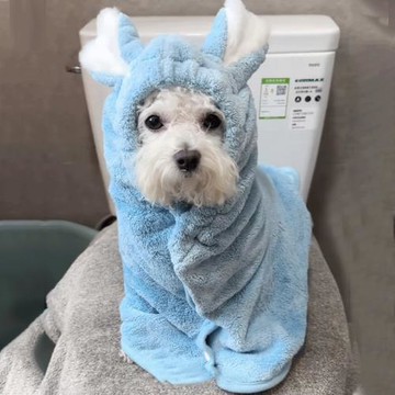 比熊專用浴巾寵物狗狗洗澡吸水毛巾速干連帽浴袍可穿衣服幼犬小狗
