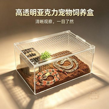 🔥折扣狂歡🔥磁吸亞克力飼養盒寄居蟹蜥蜴陸龜睫角守宮爬蟲生態透氣防逃造景盒