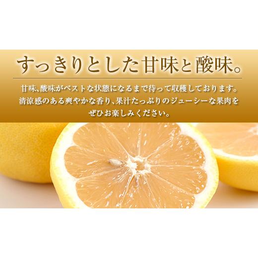 ふるさと納税 宮崎県 ◇宮崎県産ハウス日向夏 合計約2.5kg（9〜15玉入）