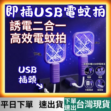 [3C專區 有現貨 隔日到貨] 電蚊拍 電蚊燈 電蚊神器 電文拍 電蚊拍 強力 迷你電蚊拍 usb電蚊拍