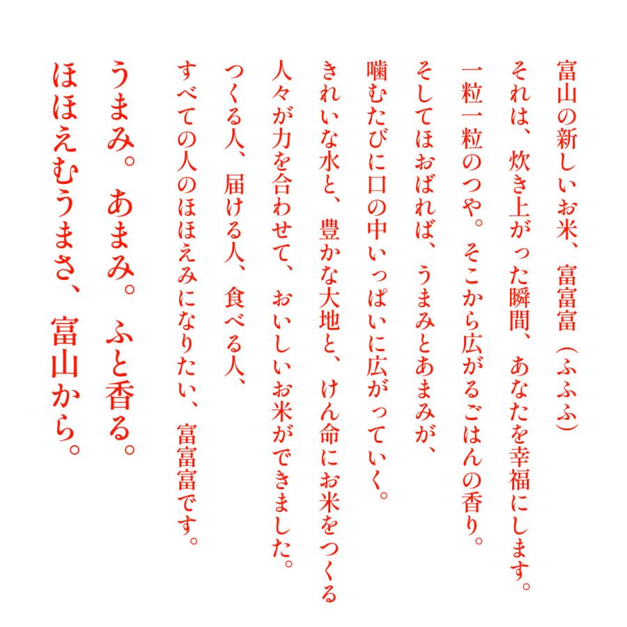 新米 富富富 ふふふ 富山米 10kg 令和5年産 5kg×2 ギフト