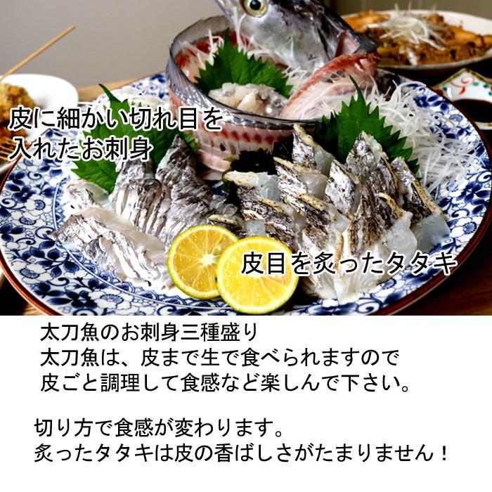 太刀魚 1kg（ 釣り たちうお タチウオ お刺身 ）