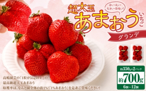 超大玉 あまおう イチゴ グランデ 2パック入り 3玉〜6玉 いちご 苺 約350g×2パック 700g