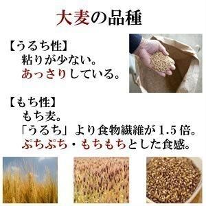 国内産 もっちもち大麦 950g×5袋 チャック付き α化処理 ポイント消化 雑穀米 食品 美容 ダイエット 国産 送料無料 ※北海道・沖縄の方は別途送料加算