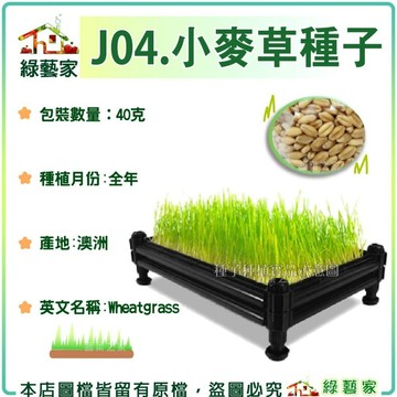 【綠藝家】J04.小麥草(貓草)種子40克(一般攪小麥草汁飲用，亦可種植來當寵物食物)芽菜類種子