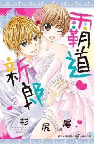 霸道新郎（全）[二手書_普通]