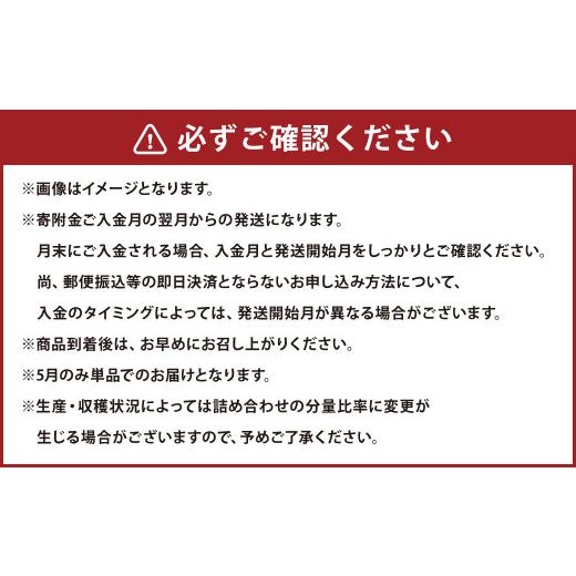 ふるさと納税 熊本県 熊本便り！旬のフルーツ詰め合わせ定期便