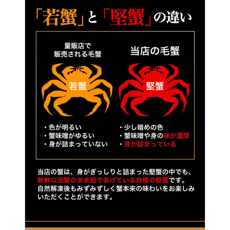 北海道産プレミアム毛蟹 毛ガニ 超特大約1kg（3特・4特）2杯 送料無料 産地直送 Y凍