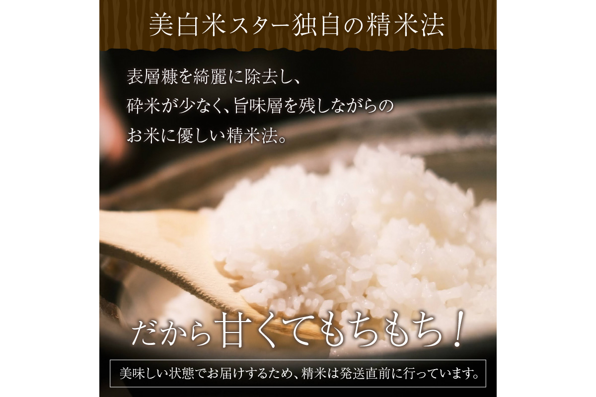 小袋で便利！令和5年産 新米 1等米 丹後こしひかり 美白精米 1.5kg(2合×5袋)　西日本最多特A獲得★ 大正初期創業の老舗米商店が厳選した一等米をお届け★白米 小分け 300g 京都産 京丹後 コシヒカリ ブランド米 ギフト　MU00016