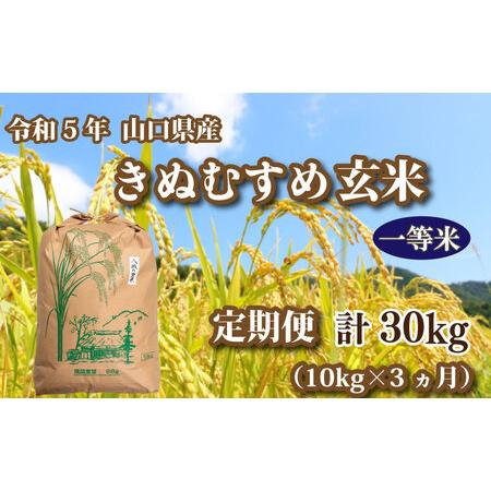 ふるさと納税 令和5年 山口県産 きぬむすめ 玄米 10kg×3回 GA011 山口県下関市