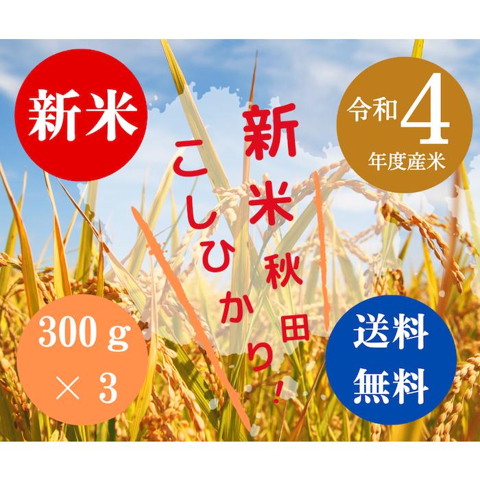 送料無料 令和５年度米 渡部浩見 漢方農法 特別栽培米 こしひかり ３００g ３パック