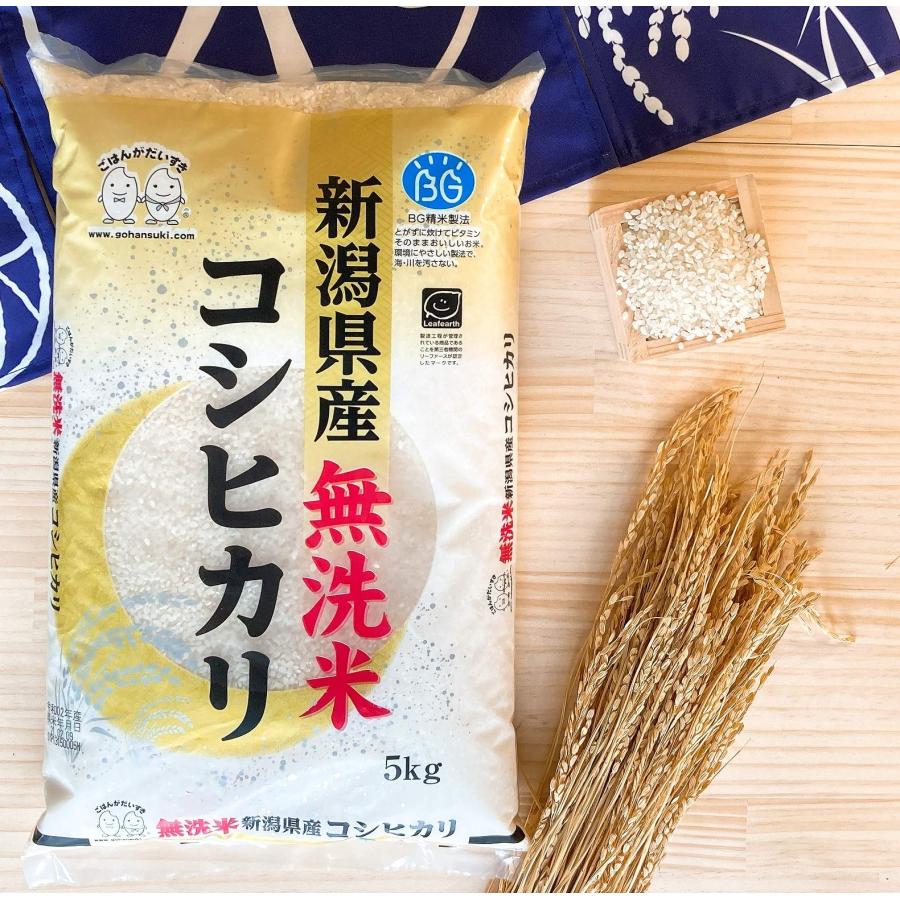 お米 BG無洗米 新潟県産コシヒカリ 5kg 令和5年産