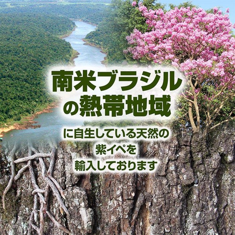 紫イペ粉末(100g)天然ピュア原料そのまま健康食品/紫イペ,紫いぺ,ムラサキイペ,ムラサキいぺ,むらさきイペ,むらさきいぺ,タヒボ,たひぼ |  LINEブランドカタログ