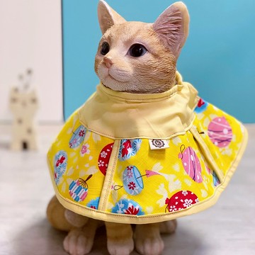 貓咪專用頭套 防抓防舔 伊莉莎白項圈