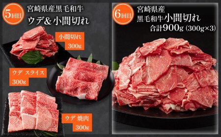 定期便  訳あり 宮崎県産黒毛和牛・豚肉 贅沢6か月コース