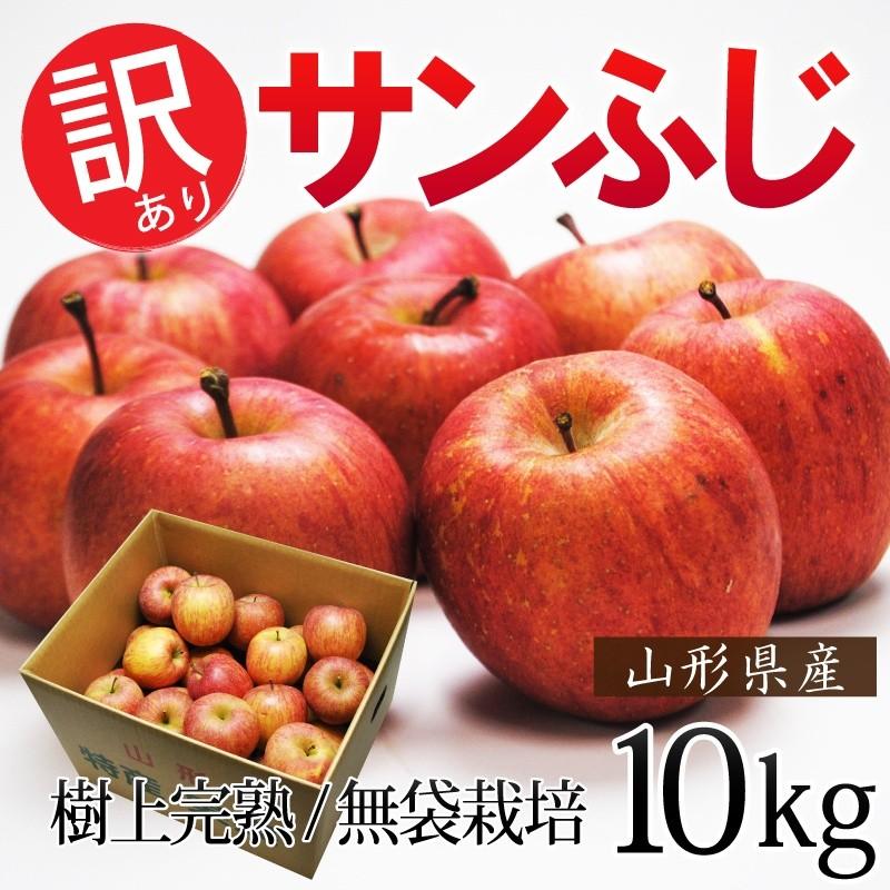 りんご サンふじ リンゴ ふじ フジ 産直 訳あり 山形県産 樹上完熟サンふじ林檎 約１０kg バラ詰め   加工用 業務用 ご家庭用 送料無料