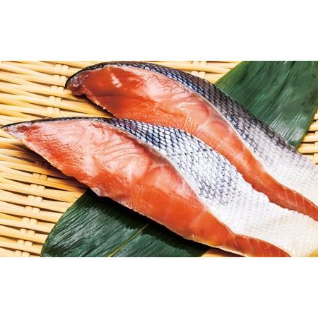 ふるさと納税 えりも産 銀聖 鮭 (薄塩味) 10切 セット 魚貝類 サーモン さけ サケ 海鮮 北海道えりも町