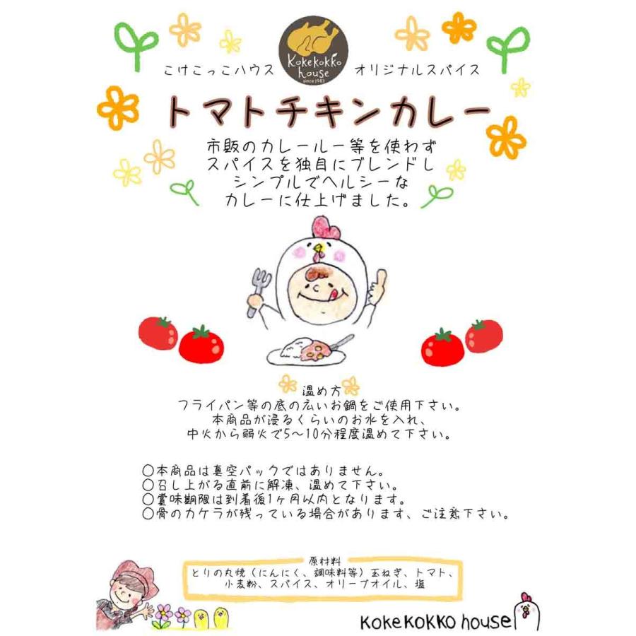 カレー チキンカレー スパイスカレー ローストチキン トマトベース 沖縄県産鶏肉 辛さ控え目 2人前（追加用）