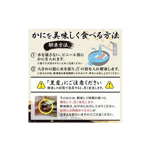 ふるさと納税 北海道 登別市 カット済み 生ずわいがに 1.25kg カニ鍋