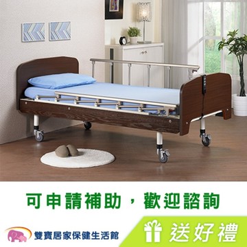 立新兩馬達電動床 F02 兩項4件贈品 (護理床 電動病床 居家用照顧床)