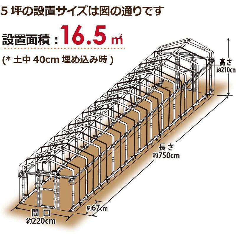 daim 夏は雨よけ,冬は保温で一年中使える ダイムハウス ドア付き5坪 16.5 家庭用 温室ハウス 小型ハウス 家庭用温室ハウス 温室