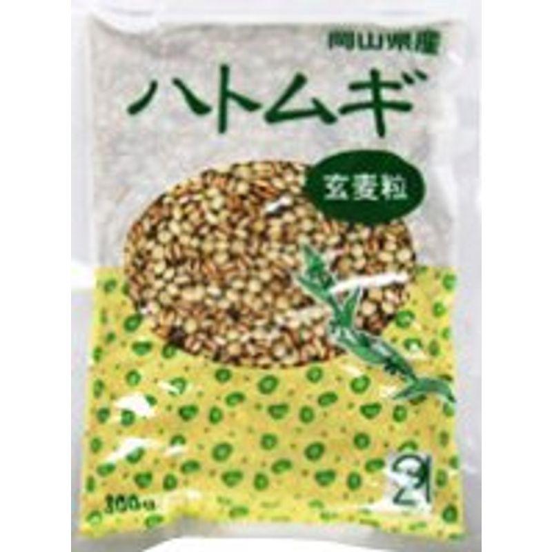 国産はとむぎ玄麦粒