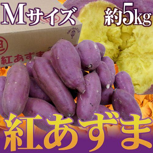 千葉・茨城県産 ”紅あずま” Mサイズ 約5kg さつまいも