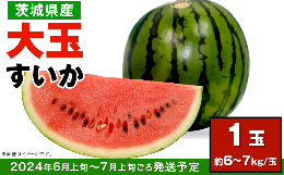 12-25茨城県産大玉すいか1玉（約6～7kg）